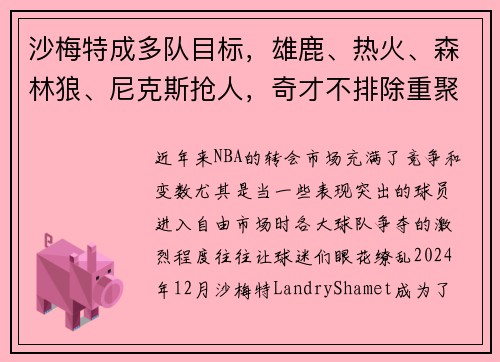 沙梅特成多队目标，雄鹿、热火、森林狼、尼克斯抢人，奇才不排除重聚