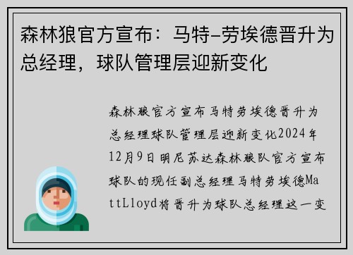 森林狼官方宣布：马特-劳埃德晋升为总经理，球队管理层迎新变化
