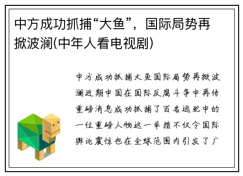 中方成功抓捕“大鱼”，国际局势再掀波澜(中年人看电视剧)
