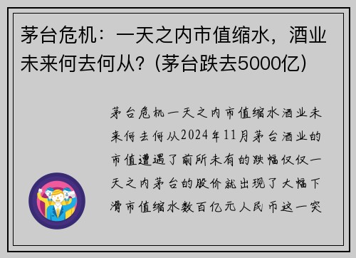 茅台危机：一天之内市值缩水，酒业未来何去何从？(茅台跌去5000亿)
