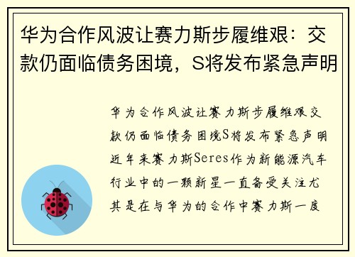 华为合作风波让赛力斯步履维艰：交款仍面临债务困境，S将发布紧急声明